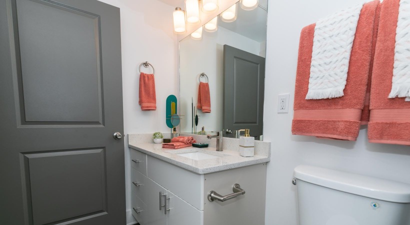 a bathroom with a sink and a toilet