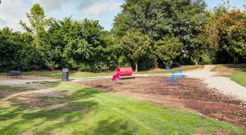 spacious dog park with play equipment
